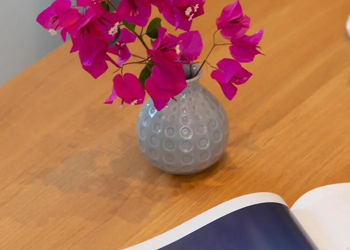 公寓式酒店 White & Black Platis Gialos (Sifnos)